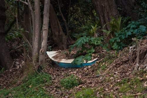 Top Perfume Trends: What’s Hot in the Beauty Industry