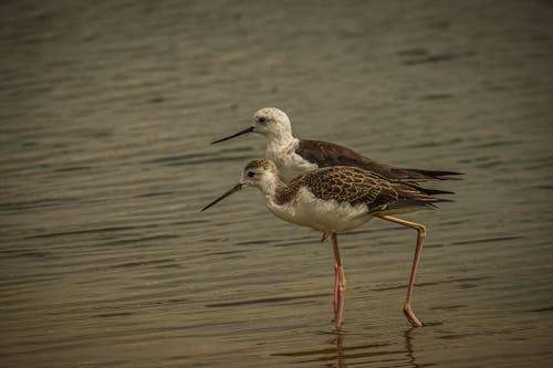 The Best Hair Clippers for Barbers: A Detailed Review