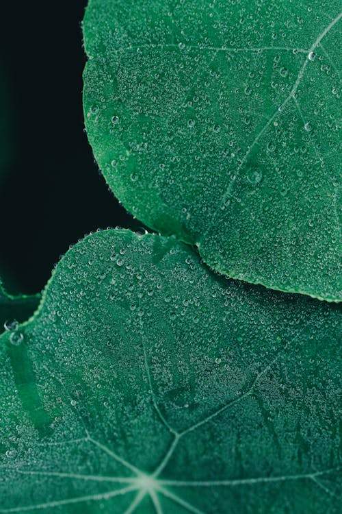 A Comprehensive Guide to Salon Tool Maintenance