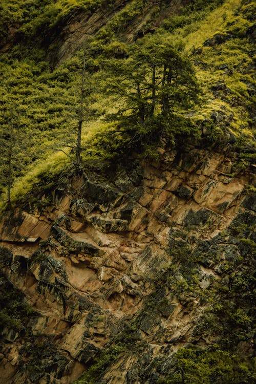 A Guide to the Best Hair Clippers for Professional Barbers