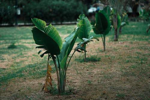 Review: Best Hair Curlers for Salon-Quality Curls