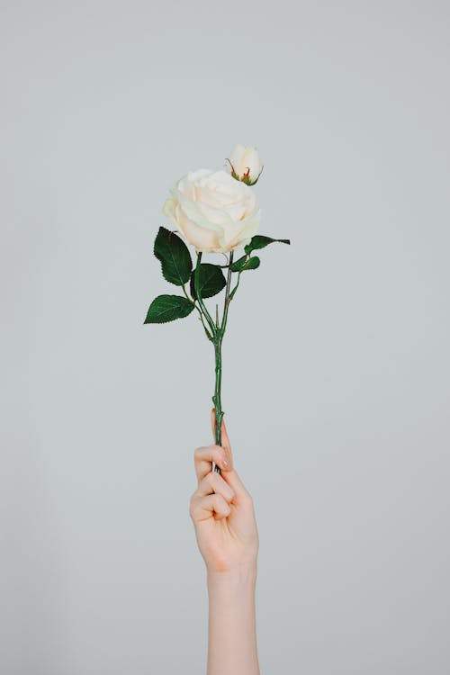 The Best Hair Dryers for Salon Professionals: Our Top Picks