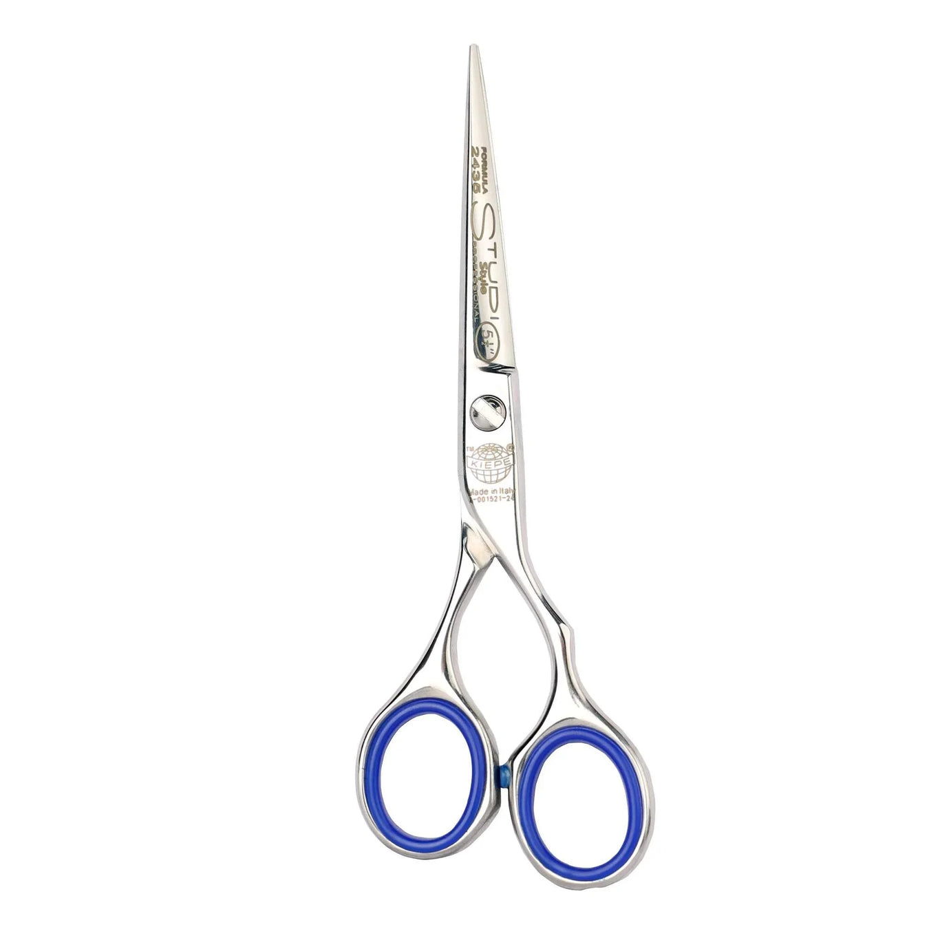 Hair Scissors