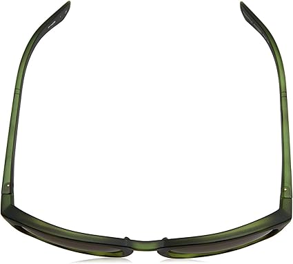 Arnette AN 4219 2324-73 Pleasantville - Vert Havane-Marron par Arnette pour Homme - 57-21-135 mm Lunettes de soleil