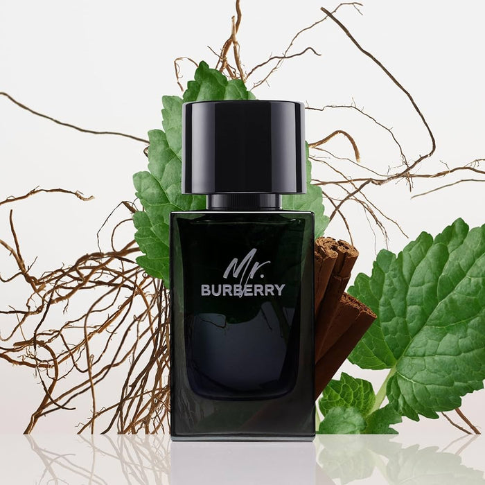 Mr. Burberry de Burberry pour homme - Spray EDP 1,6 oz