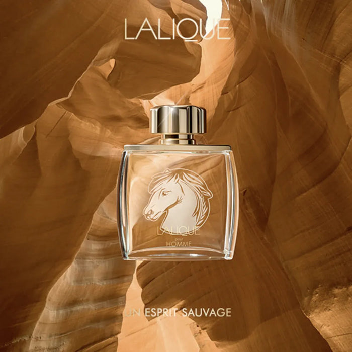 Lalique by Lalique for Men - 2.5 oz EDP Spray