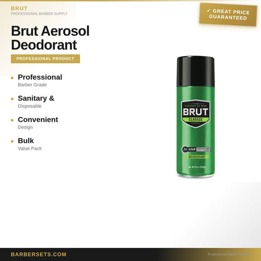 Brut Aerosol Deodorant 10 Oz