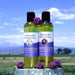 Body and Massage Oil - BarberSets