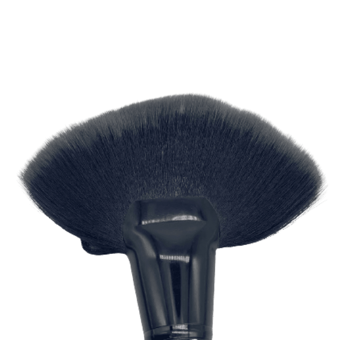 MORPHE BRUSHES Jumbo Fan Brush - MB33