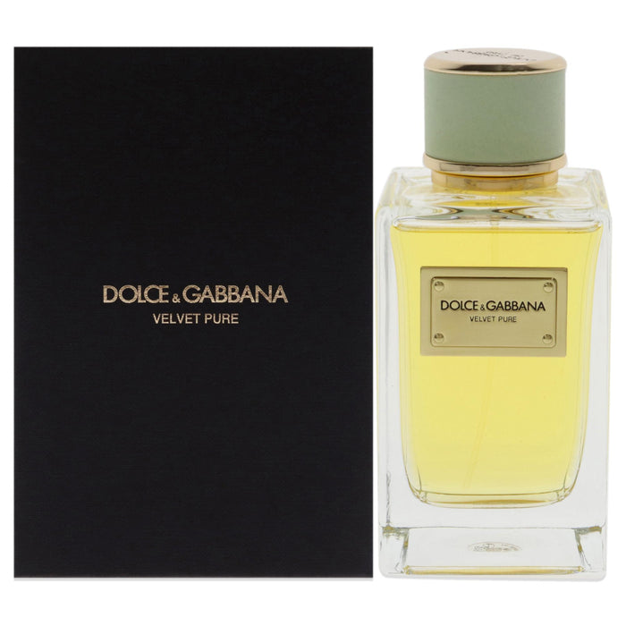 Velvet Pure by Dolce and Gabbana for Women - 5 oz EDP Spray