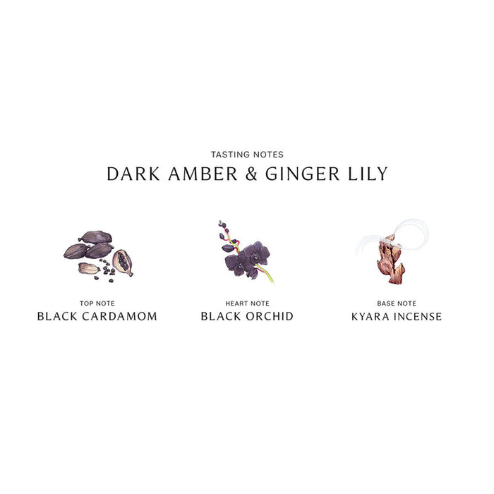 Dark Amber and Ginger Lily Intense by Jo Malone for Unisex - 1.7 oz Cologne Spray